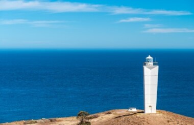 Private Transfer from Adelaide to Cape Jervis with Sea Dragon Kangaroo Island