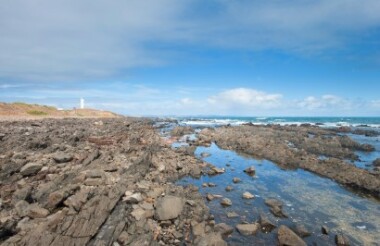 Coach Connection from Adelaide Hotel to Cape Jervis with Sealink