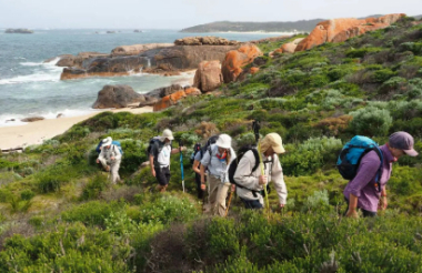 Explore New Zealand with these great holiday ideas