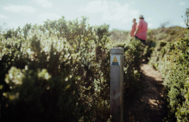 NZ self drive itineraries and package holidays