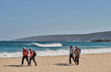 Discover everything New Zealand has to offer with these great vacation packages