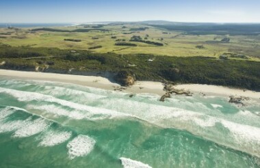 Cape Bridgewater Blowholes and the Petrified Forest - suggested activity