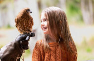 Birds of Prey Encounter + Forest Walk with Capes Foundation