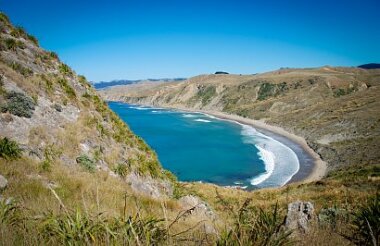 Pinot to Palliser Guided Tour with Martinborough Wine Tours