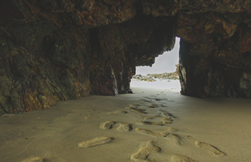 Essential Southern Extravaganza - Day 18