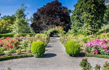 Christchurch Botanic Gardens - suggested activity