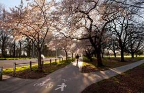 Explore New Zealand with these great holiday ideas