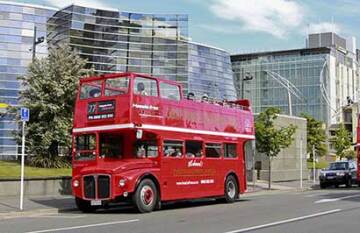 The Essential New Zealand - Day 19