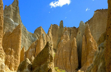 Natural New Zealand - Day 13