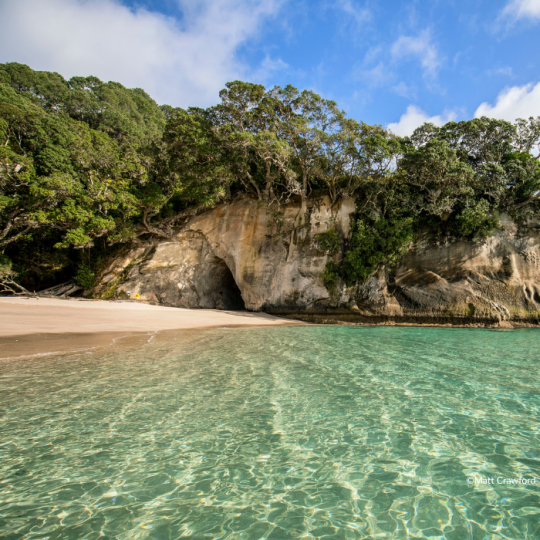 cathedral cove new zealand