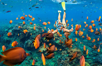 Coral Expeditions: Coastal Adventures Great Barrier Reef - Day 3
