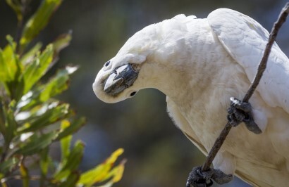 The Best of New South Wales Tour - Day 7