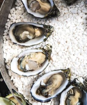 Coffin Bay Oysters - Tasmania Food and Wine Experiences
