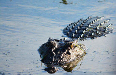 New Zealand holidays & tours