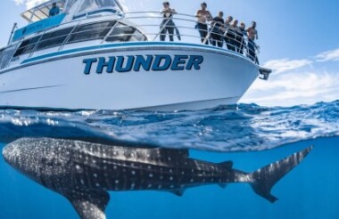 Glass Bottom Boat Coral View & Snorkel with Coral Bay Eco Tours