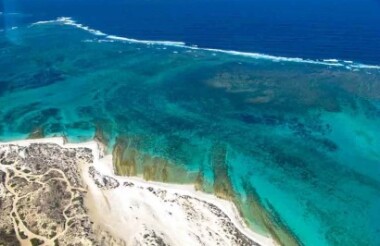 Glass Bottom Boat Coral View & Snorkel with Coral Bay Eco Tours