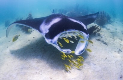 West Coast Adventure Tour - Day 7