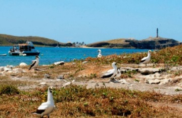 Coral Expeditions: Abrolhos Islands & The Coral Coast Cruise - Day 5