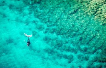 Coral Expeditions: Abrolhos Islands & The Coral Coast Cruise - Day 7