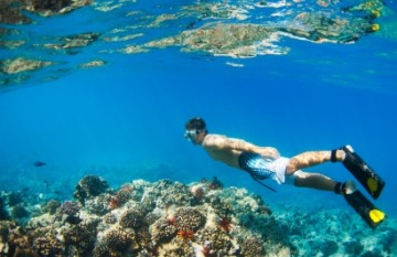 Coral Expeditions: Abrolhos Islands & The Coral Coast Cruise - Day 8