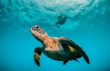 Coral Expeditions: Abrolhos Islands & The Coral Coast Cruise - Day 9
