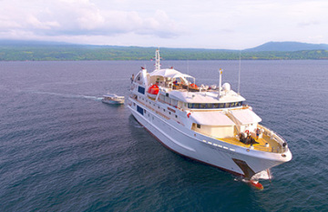 Coral Expeditions: Outerknown Adventures on the Great Barrier Reef - Day 8