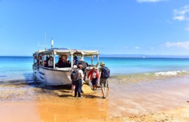 NZ self drive itineraries and package holidays