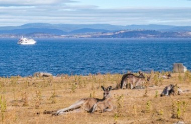 Discover everything New Zealand has to offer with these great vacation packages