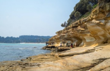 Coral Expeditions: Coastal Adventures Tasmania - Day 3