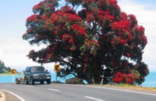 Coromandel Peninsula