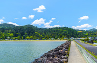 Walking tracks in and around the Coromandel Peninsula