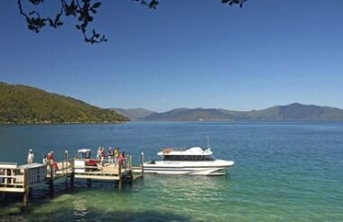 Cougar Line Shared Transfer - Picton to Marlborough Sounds
