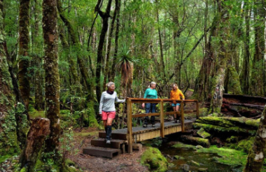 NZ self drive itineraries and package holidays