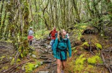 Cradle Mountain Signature Walk - Day 6