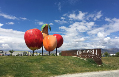 Aoraki/Mount Cook to Queenstown Small Group Tour with Cheeky Kiwi