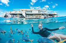 Queensland Family Adventure - Day 12