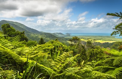 Rainforest & The Great Barrier Reef Adventure - Day 4