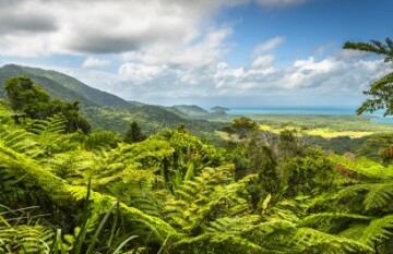 Rainforest & The Great Barrier Reef Adventure - Day 4