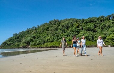 Ultimate Daintree Tour with Daintree Tours