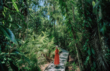 See all of New Zealand with a tailor-made package holiday