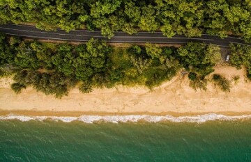 Tropical Reef and Rainforest Tour - Day 7