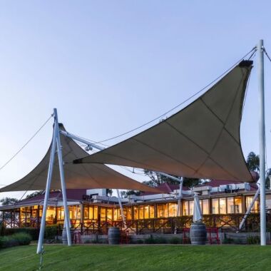 vineyard with canopy