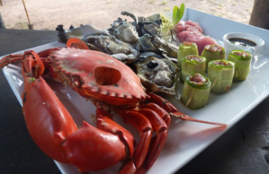 New Zealand holidays & tours