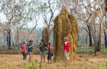 Venture North Safaris: Kakadu, Arnhem Land and Cobourg Peninsula Tour - Day 5