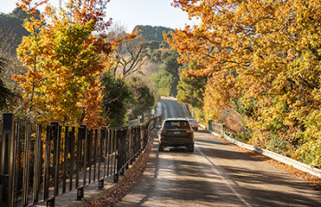 Icons of Victoria's High Country - Day 6
