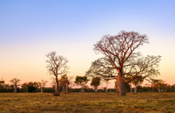 Outback Spirit - Jewels of the Kimberley & Faraway Bay - Day 3
