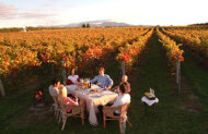 Full Day Marlborough Wine Tour