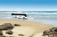 Cape Reinga & Ninety Mile Beach Full Day Tour with Fuller Bay of Islands - Lunch Included