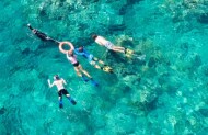 Oceanquest Overnight Reef Experience