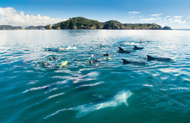 Experience the best of New Zealand with these touring ideas